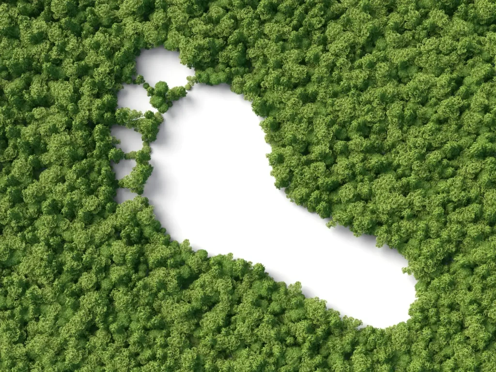Jogo de Cartas e impacto ambiental.